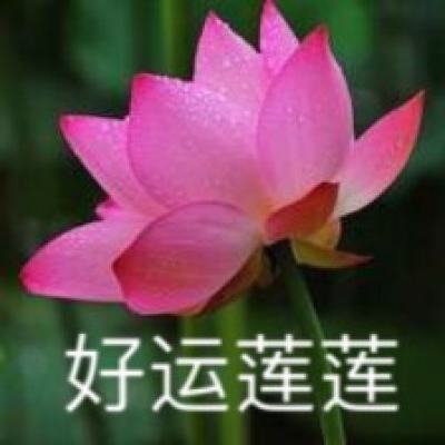 麻将胡了PG网页版